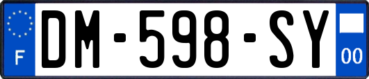 DM-598-SY