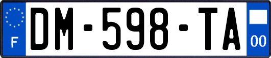 DM-598-TA
