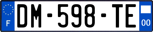 DM-598-TE