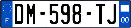 DM-598-TJ