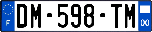 DM-598-TM