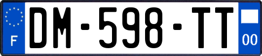 DM-598-TT