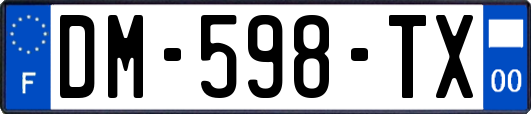 DM-598-TX