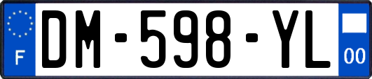 DM-598-YL