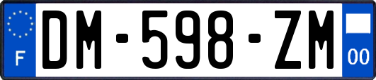 DM-598-ZM