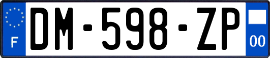 DM-598-ZP