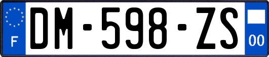 DM-598-ZS