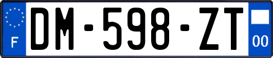 DM-598-ZT