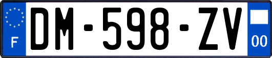 DM-598-ZV