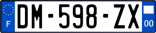 DM-598-ZX