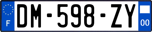 DM-598-ZY