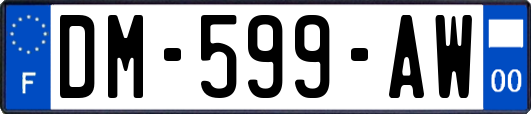 DM-599-AW