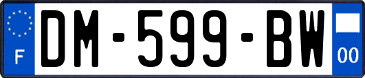 DM-599-BW