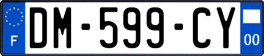 DM-599-CY