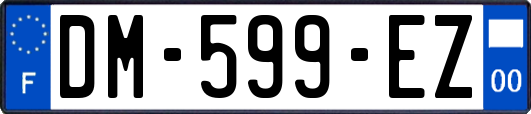 DM-599-EZ