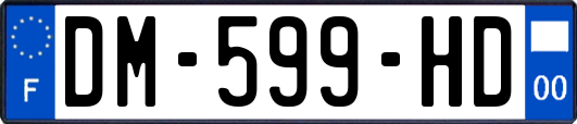 DM-599-HD