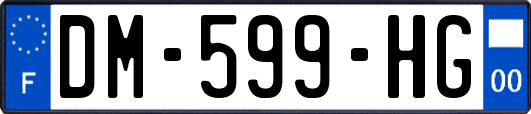 DM-599-HG