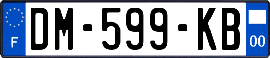 DM-599-KB
