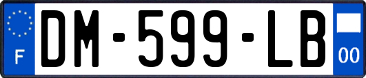 DM-599-LB