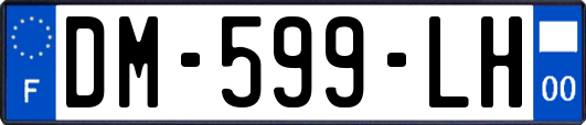 DM-599-LH
