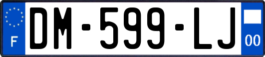 DM-599-LJ