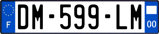 DM-599-LM