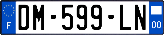 DM-599-LN