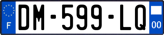 DM-599-LQ