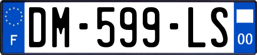 DM-599-LS