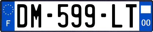 DM-599-LT