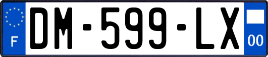 DM-599-LX