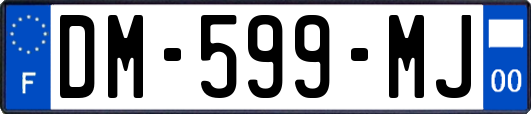 DM-599-MJ