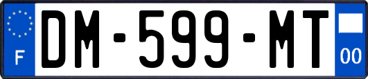 DM-599-MT