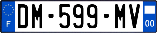 DM-599-MV