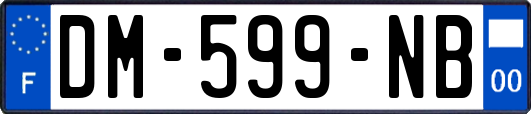 DM-599-NB