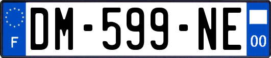 DM-599-NE