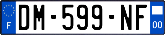 DM-599-NF
