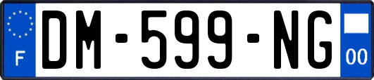 DM-599-NG