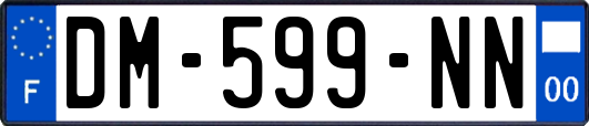 DM-599-NN