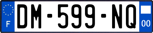 DM-599-NQ