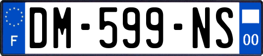 DM-599-NS