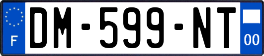 DM-599-NT
