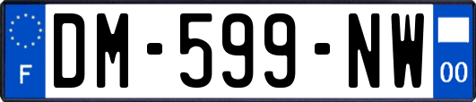 DM-599-NW