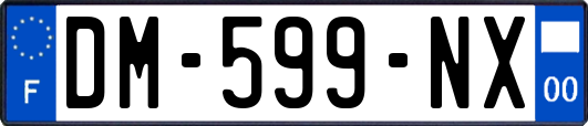 DM-599-NX