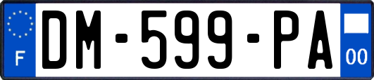 DM-599-PA