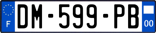 DM-599-PB