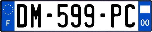 DM-599-PC