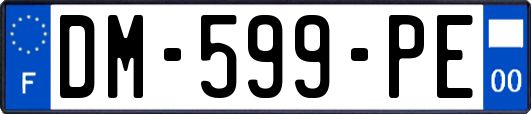 DM-599-PE