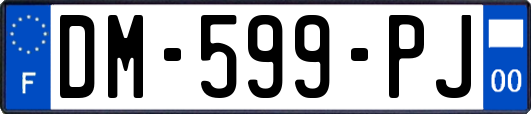 DM-599-PJ