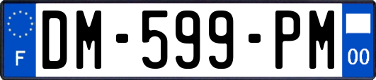 DM-599-PM
